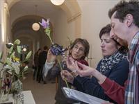Fotoreportáž z Brněnské růže 2013